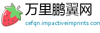 万里鹏翼网